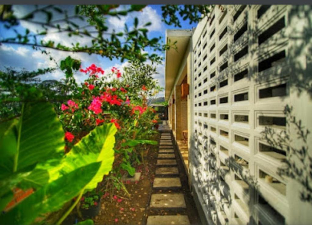 Surya Lombok Accommodation Selong Belanak Exterior photo